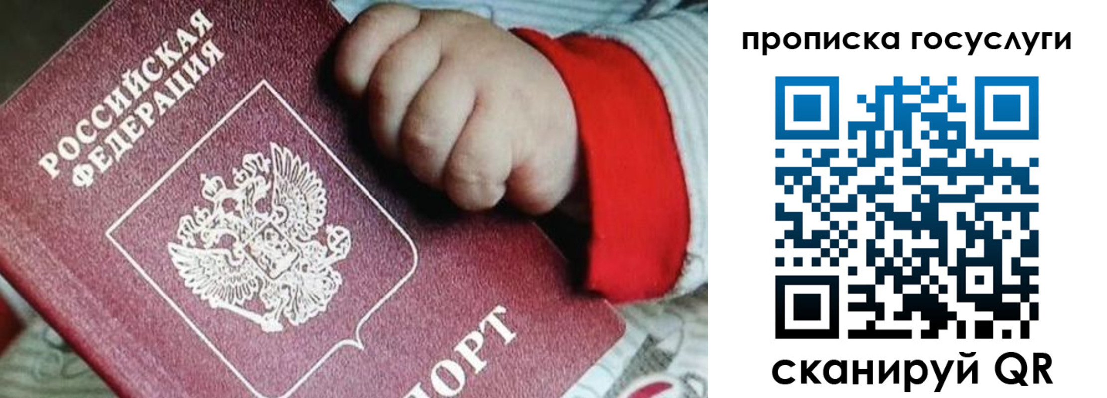 прописка штамп в Острогожске